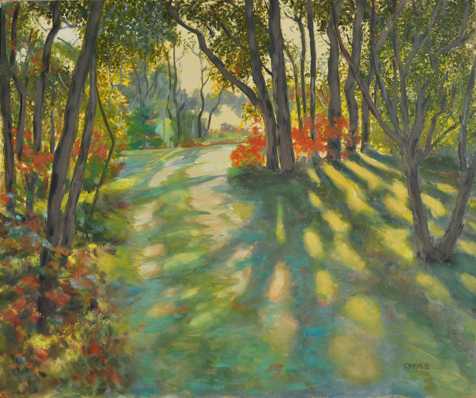 Afternoon Rays oil 20x24