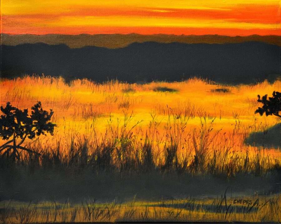 Sunset Marsh oil 16x20